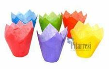 PIROTTINI TULIP MULTICOLORE (PZ.150)