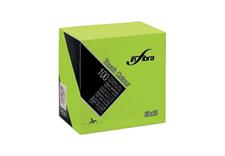TOVAGLIOLI INFIB.25X25 VERDE M.(100)
